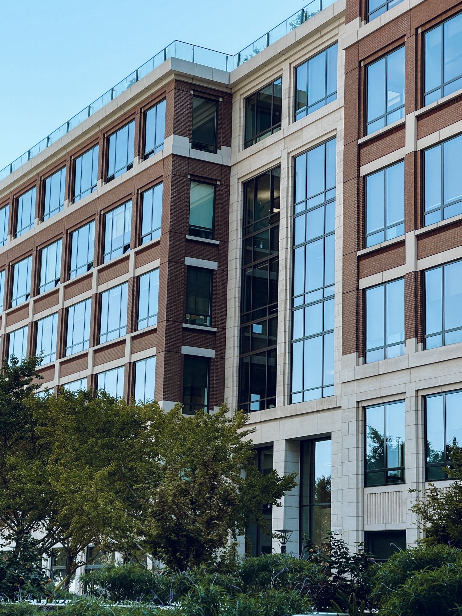 Office & mixed-use renovations