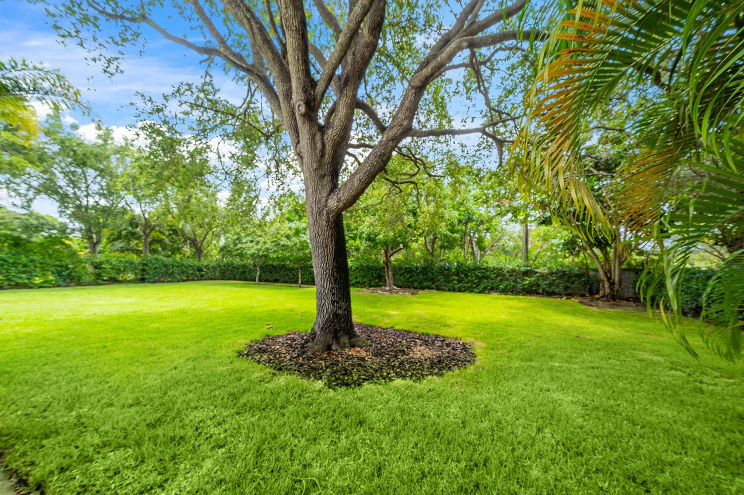 Miami Home · Full Remodel & Addition